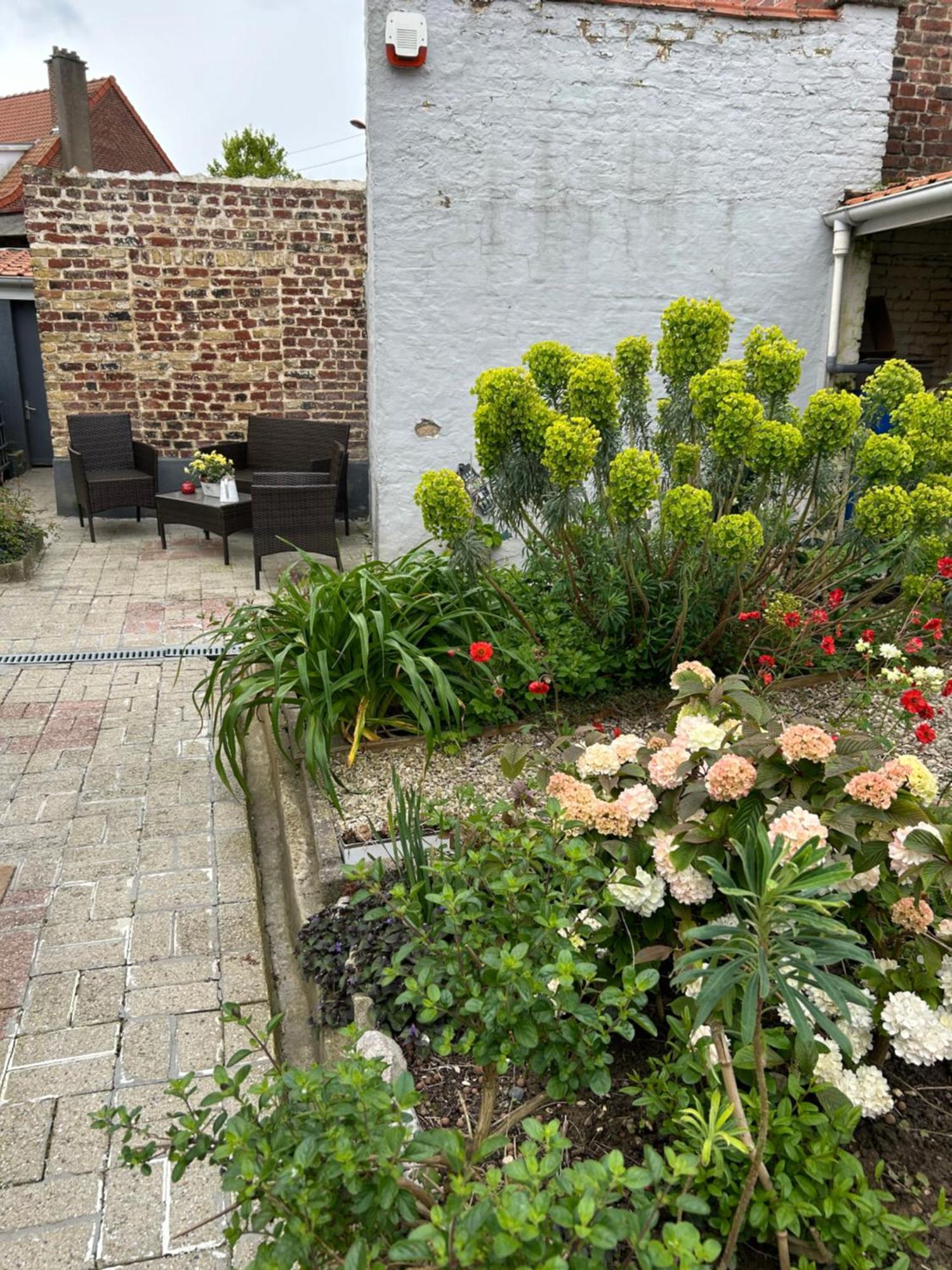 Appartement Avec Jardin 3 Couchages Proche Port Des Fontinettes Arques  Exterior foto